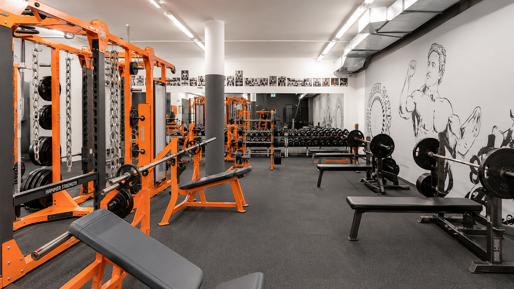 Bench and Dumbells